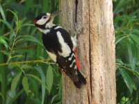 Gazen Salts Nature Reserve